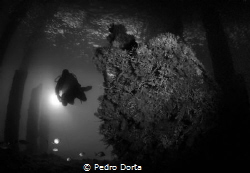 Wreck in Blue Heron Bridge by Pedro Dorta 